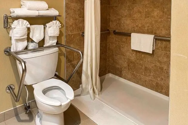 Oda, 1 En Büyük (King) Boy Yatak, Engellilere Uygun, Sigara İçilmez (Roll in Shower)