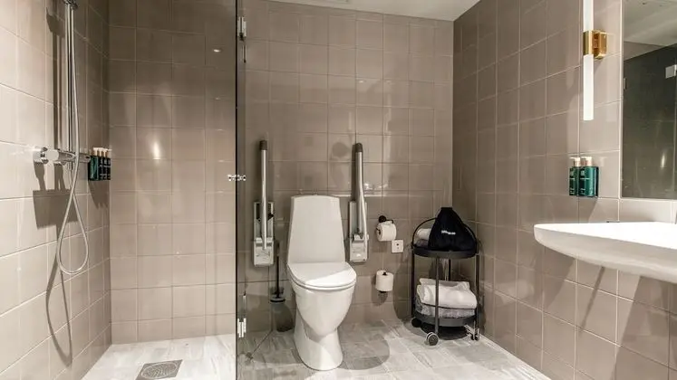 Deluxe Tek Büyük Yataklı Oda, Sigara İçilmez