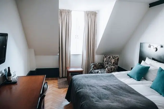 Standard Tek Büyük Yataklı Oda, Sigara İçilmez