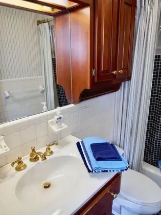 Luxury Süit, 1 En Büyük (King) Boy Yatak