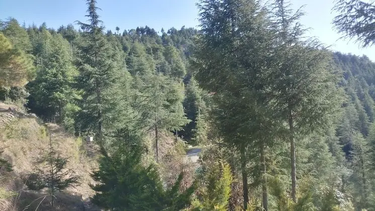 Premium Kır Evi