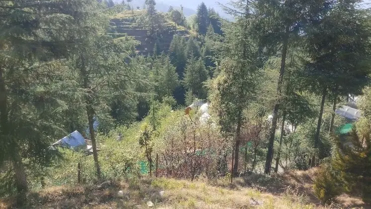 Premium Kır Evi