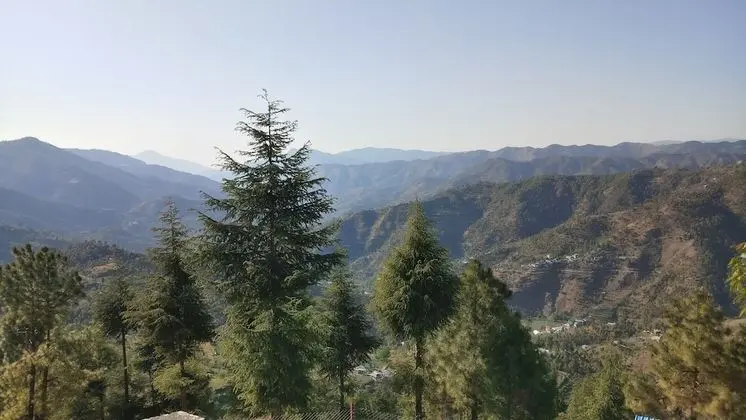 Premium Kır Evi