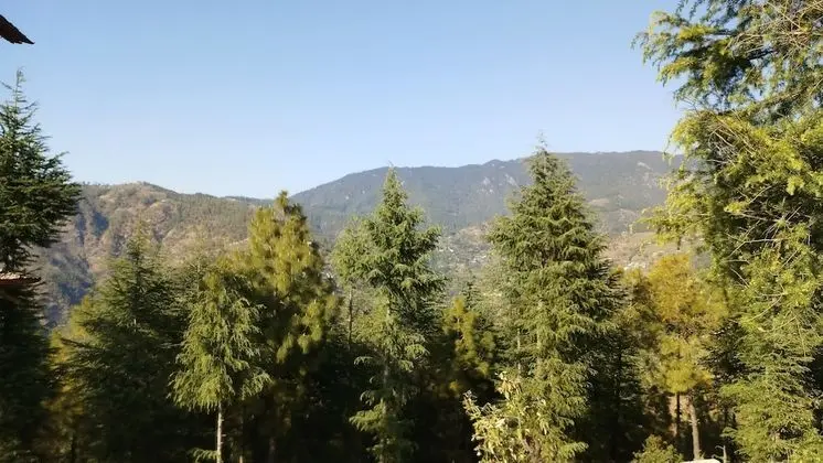 Premium Kır Evi