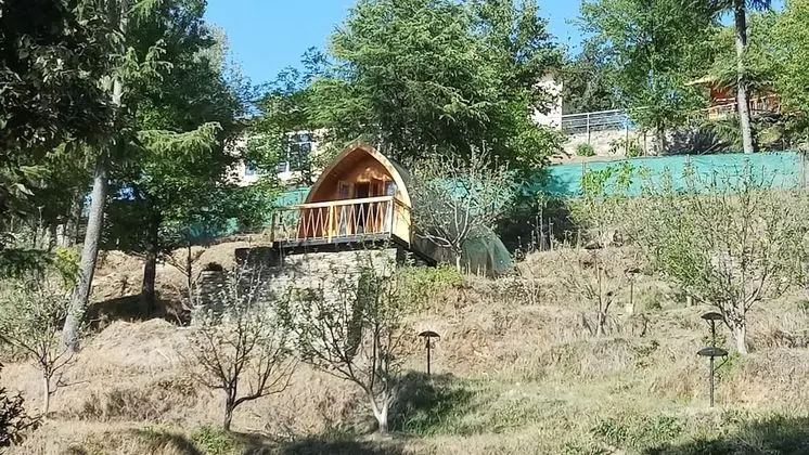 Standard Tek Büyük Yataklı Oda (wooden hut)