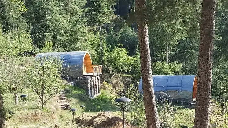 Standard Tek Büyük Yataklı Oda (wooden hut)