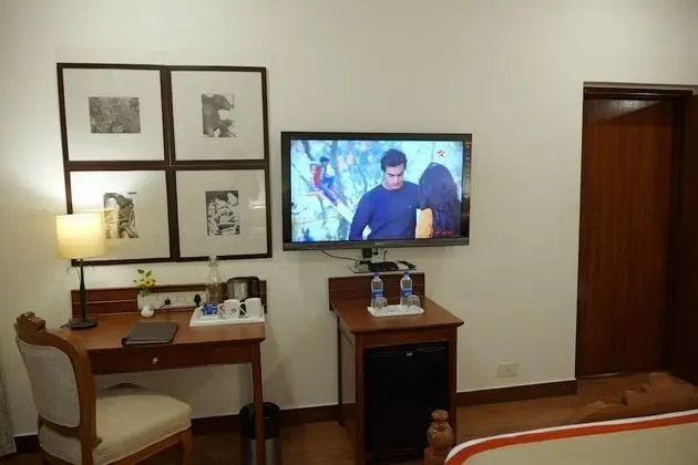 Televizyon
