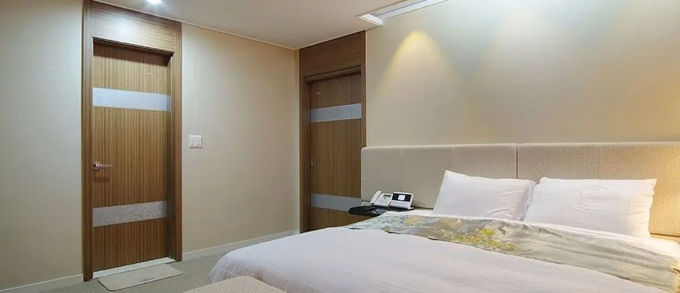 Business Süit, 1 Yatak Odası, Şehir Manzaralı