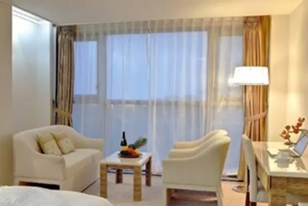 Business Süit, 1 Yatak Odası, Şehir Manzaralı