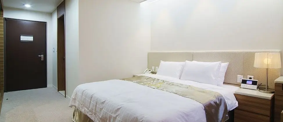 Standard Tek Büyük Yataklı Oda, Şehir Manzaralı
