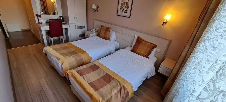 Standard Tek Büyük veya İki Ayrı Yataklı Oda, 1 Yatak Odası