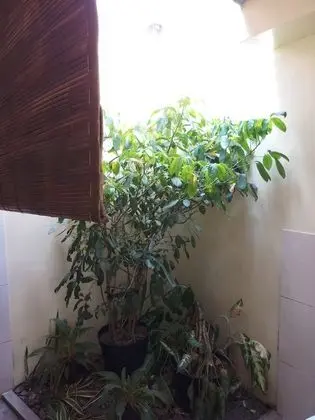Deluxe Bungalov, Kısmi Deniz Manzarası