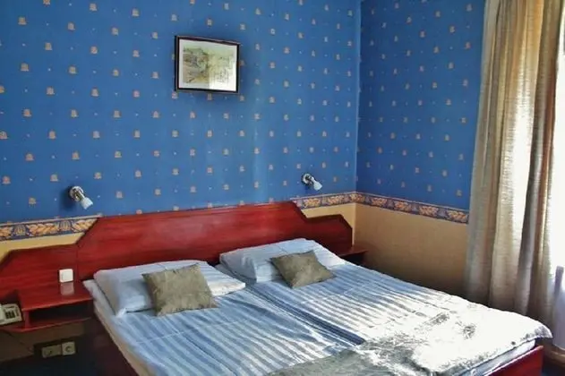 Standard Tek Büyük veya İki Ayrı Yataklı Oda, 2 Tek Kişilik Yatak