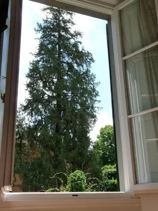 Tek Kişilik Oda