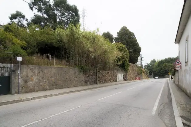 Apart Daire, Sigara İçilebilir