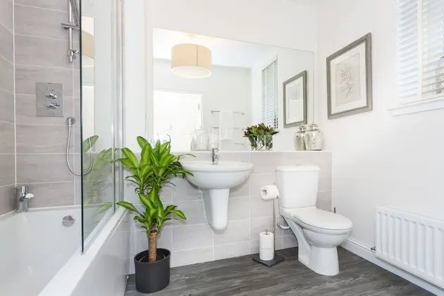 Comfort Apart Daire (1 Bedroom)