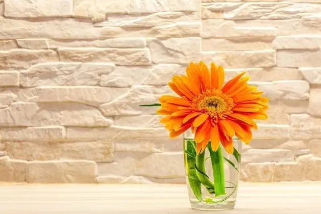 Apart Daire, Birden Çok Yatak