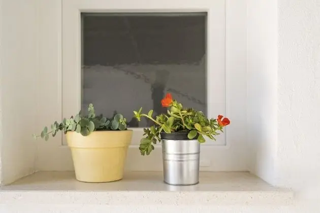 Apart Daire, Birden Çok Yatak