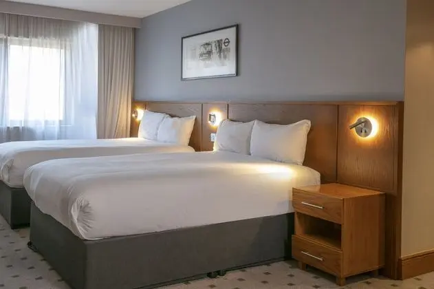 Deluxe Oda, 2 Çift Kişilik Yatak, Sigara İçilmez