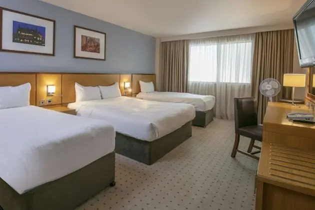 Deluxe Oda, 2 Çift Kişilik Yatak, Sigara İçilmez