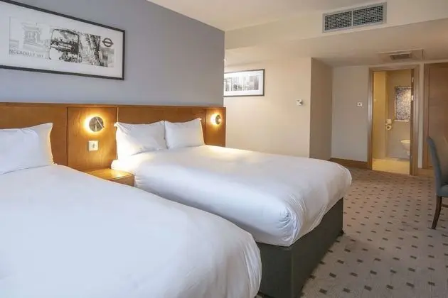 Deluxe Oda, 2 Çift Kişilik Yatak, Sigara İçilmez