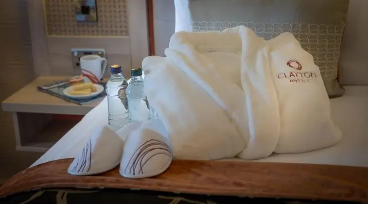 Executive Süit, 1 En Büyük (King) Boy Yatak