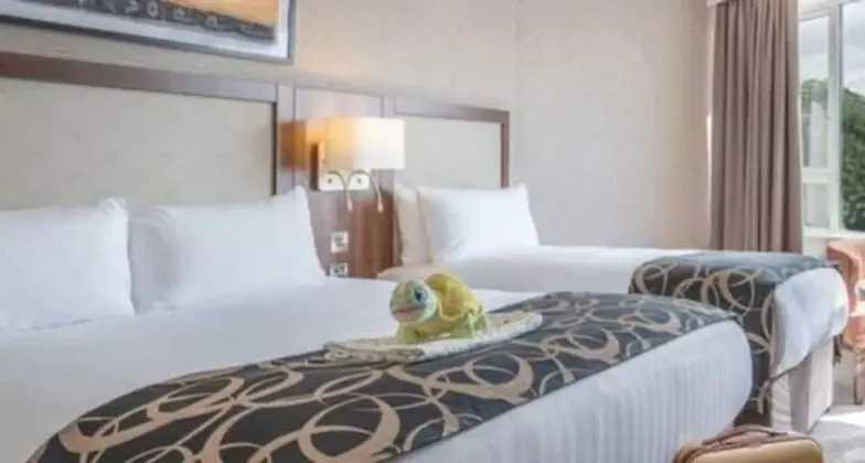 Family Oda, 2 Çift Kişilik Yatak