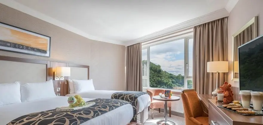 Deluxe Double and Single Room