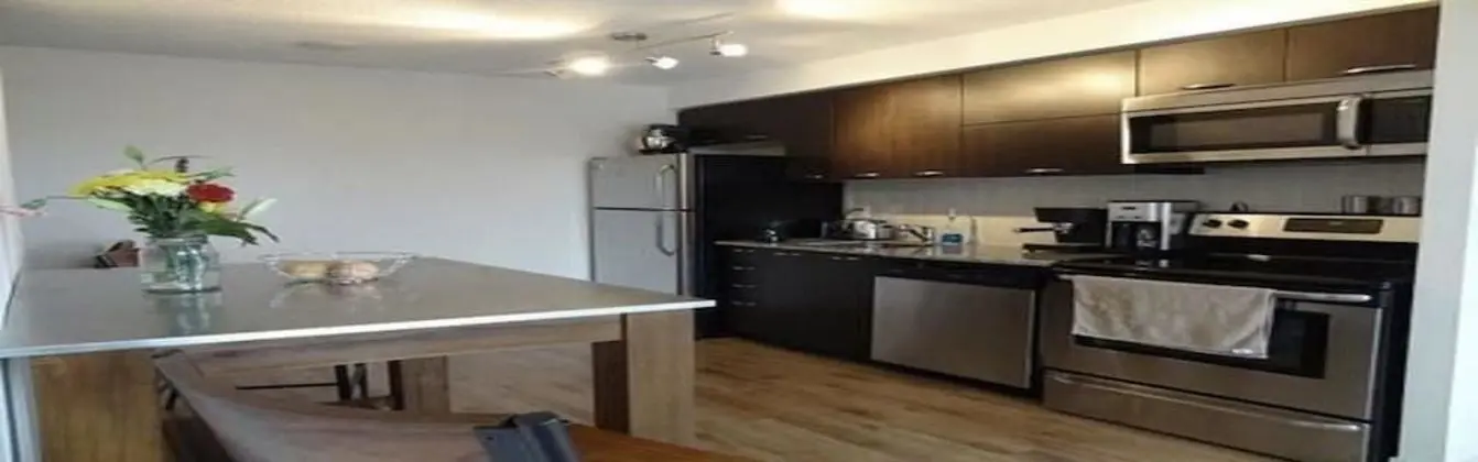 Süit, Havuz Kullanımı, Şehir Manzaralı