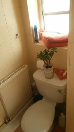 Comfort Apart Daire, 1 Yatak Odası