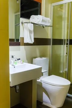 Superior Tek Büyük Yataklı Oda, Sigara İçilmez
