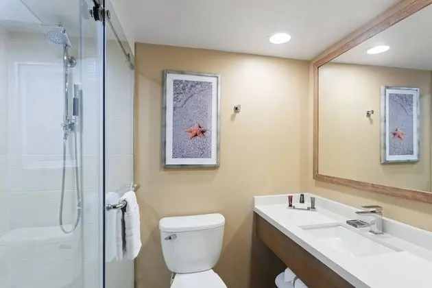 Süit, 1 Yatak Odası, Manzaralı