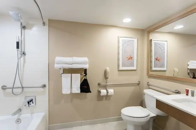 Süit, 1 Yatak Odası, Manzaralı (Mobility Accessible, Tub)