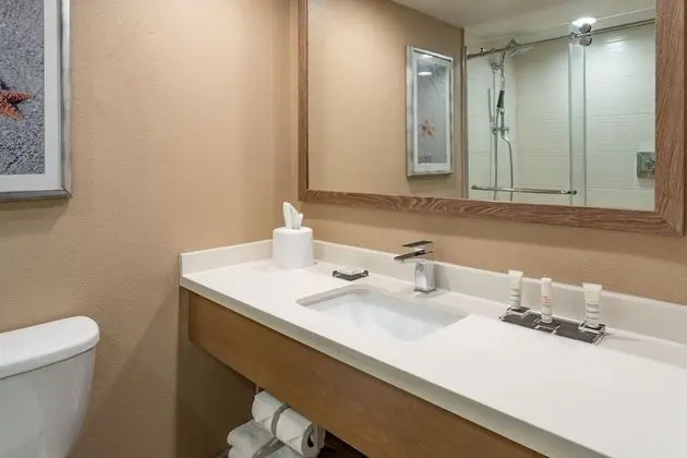 Süit, 1 Yatak Odası, Manzaralı (Mobility/Hearing Accessible, Tub)