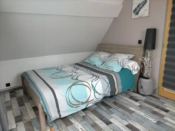 Standard Tek Büyük Yataklı Oda, Banyolu/Duşlu (La chambre)