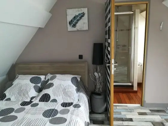 Standard Tek Büyük Yataklı Oda, Banyolu/Duşlu (La chambre)