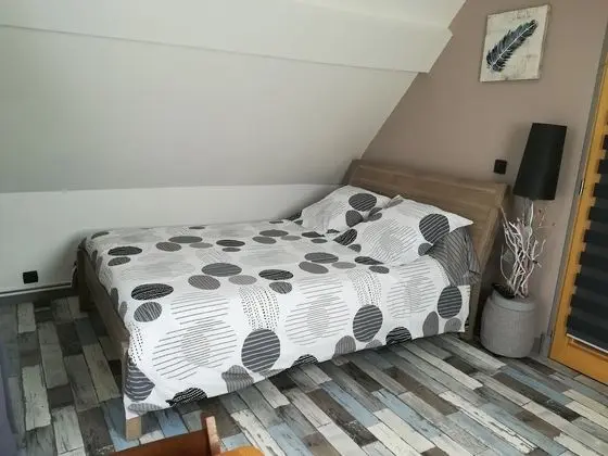 Standard Tek Büyük Yataklı Oda, Banyolu/Duşlu (La chambre)