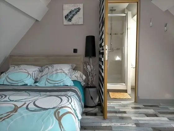 Standard Tek Büyük Yataklı Oda, Banyolu/Duşlu (La chambre)