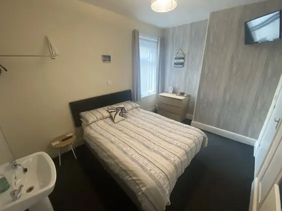 Tek Büyük Yataklı Oda, Banyolu/Duşlu (Room 2)