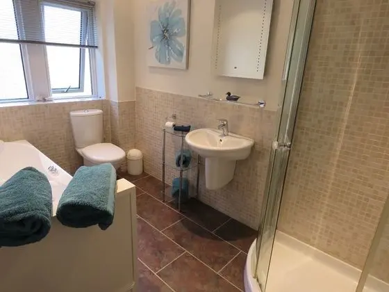 Superior Tek Büyük Yataklı Oda, Banyolu/Duşlu (Room 1)