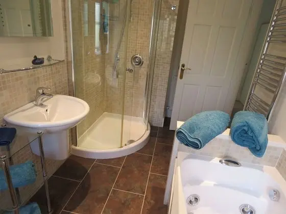 Superior Tek Büyük Yataklı Oda, Banyolu/Duşlu (Room 1)