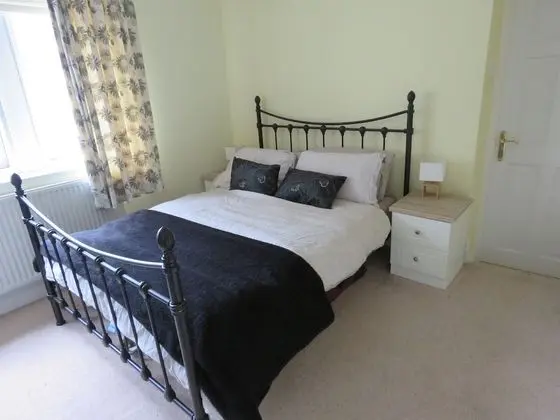 Tek Büyük Yataklı Oda, Banyolu/Duşlu (Room 2)
