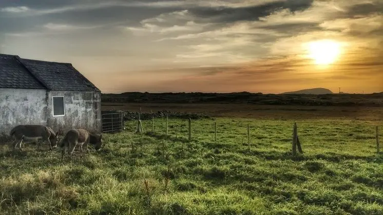 Kır Evi