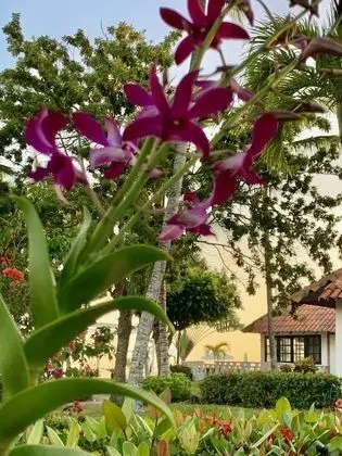 Villa, 2 Çift Kişilik Yatak