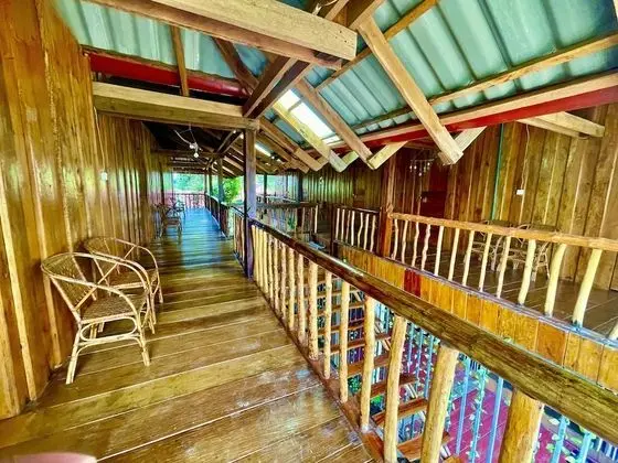Deluxe Tek Büyük Yataklı Oda (Jungle)