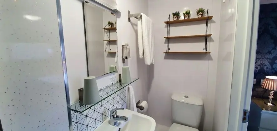 Tek Büyük Yataklı Oda, Banyolu/Duşlu