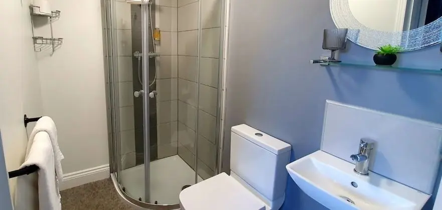 Tek Büyük Yataklı Oda, Banyolu/Duşlu