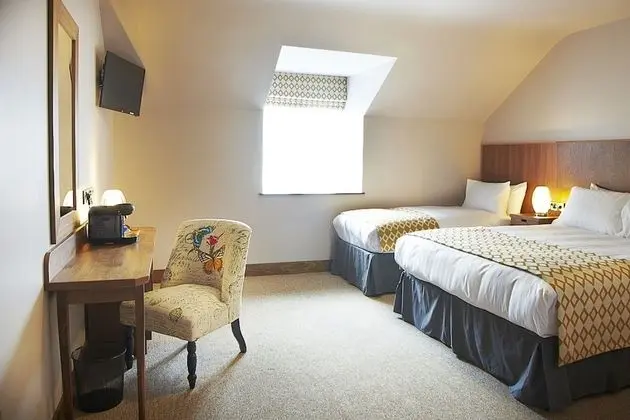 Tek Büyük Yataklı Oda (1 King Bed + 1 Single Bed)