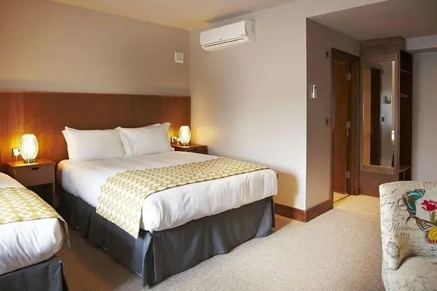 Tek Büyük Yataklı Oda (1 King Bed + 1 Single Bed)