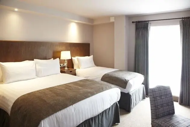 Tek Büyük Yataklı Oda (1 King Bed + 1 Single Bed)